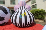 inflatable balloon